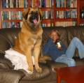 34v_OS Kollar p� OS p� TV. Inte ens lill-mattes gr�dd-glass lockar.