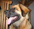 39v_blixt Blixtrar du s� blundar jag. Fast det �r sv�rt att d�lja vad fin jag �r...